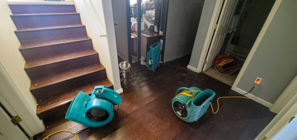 Best Local water damage restoration  in Radford, VA