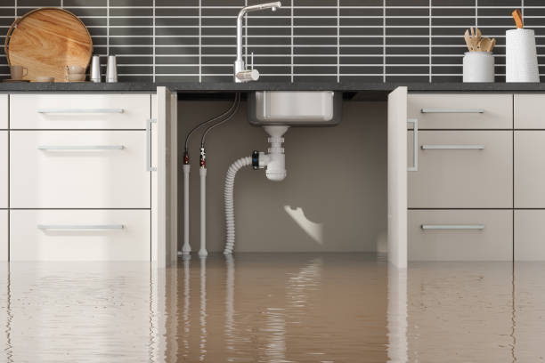 Best Water damage restoration near me  in Radford, VA