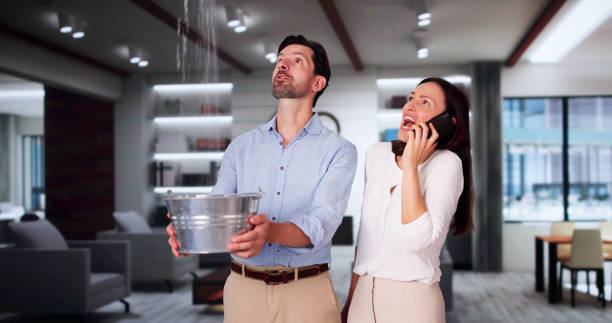 Best Basement water damage restoration  in Radford, VA